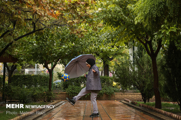 طراوت باران در تهران
