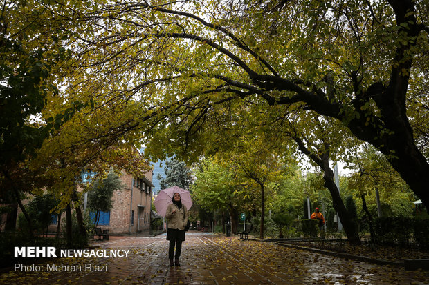 طراوت باران در تهران