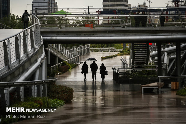 طراوت باران در تهران