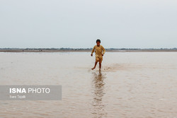 ‘Jazmourian wetland restoration, DOE’s priority’
