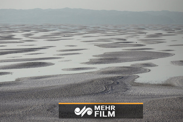 اگر اقدامات دولت نبود الان دریاچه ارومیه یک قطره آب هم نداشت!