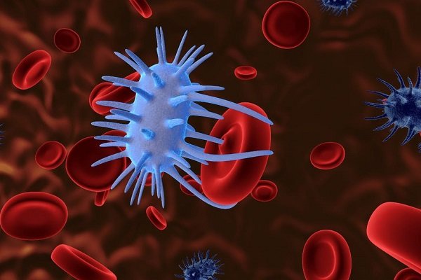 یک ویروس برای مبارزه با سلول های سرطانی تربیت شد!