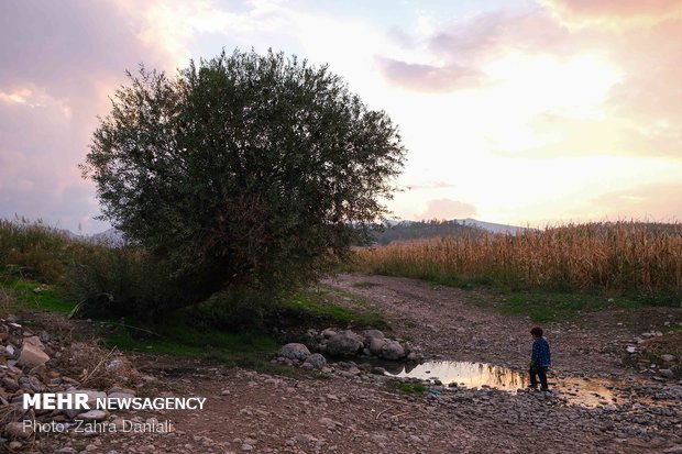 جریان زندگی در سرپل ذهاب