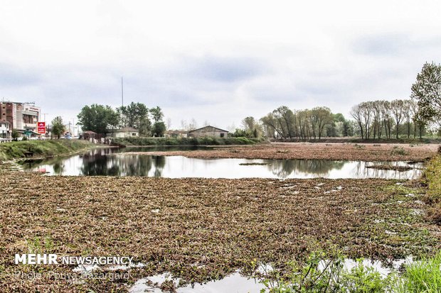 Eynak Lagoon