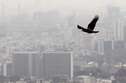 As winter approaches, Tehran weather gets polluted again