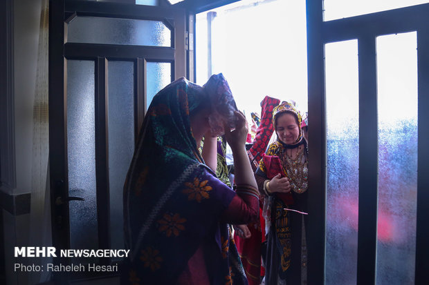 A traditional Turkmen wedding ceremony in Golestan