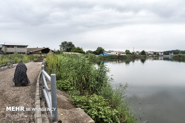 شرایط تالاب عینک نسبت به تالاب های دیگرخاص می باشد از آن لحاظ که این تالاب در داخل شهر قرار گرفته است.