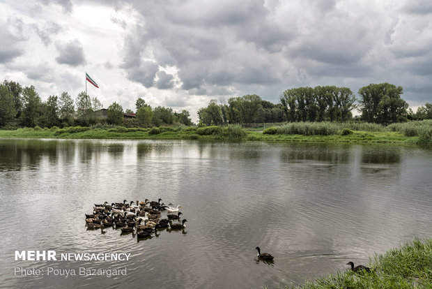 تالاب عینک در کریدور پروازی پرندگان مهاجر قرار دارد.