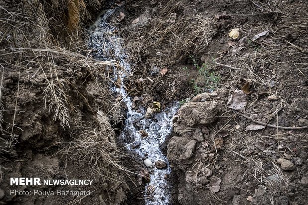 ورود فاضلاب های شهری و صنعتی به داخل تالاب از مشکلات جدی این تالاب است.