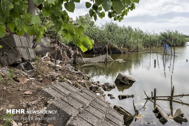 بخش‌هایی از تالاب در میان خانه‌ها اطراف و هجوم کوچه‌ها به سمت تالاب در حال از بین رفتن و خشک شدن است.