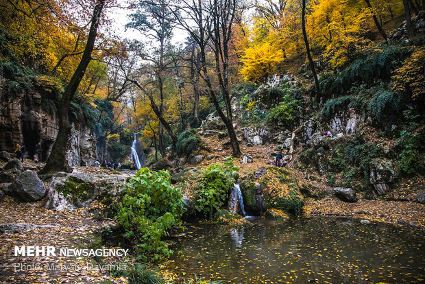 North Khorasan woods immersed in colorful autumn leaves 