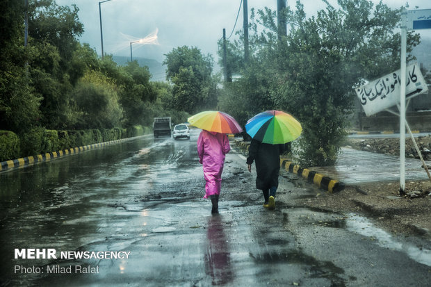 بارش باران در شهرستان جم استان بوشهر
