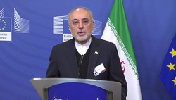 Ali Akbar Salehi, vice-president, and head of the Atomic Energy Organization of Iran