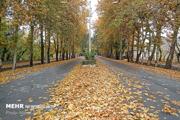 Spectacular shades of Autumn in Natanz
