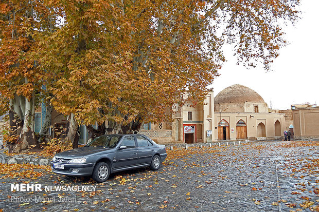 Spectacular shades of Autumn in Natanz
