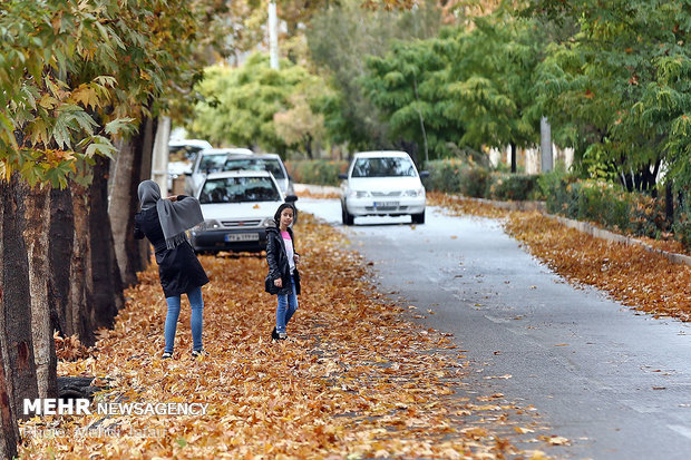 Spectacular shades of Autumn in Natanz
