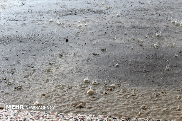 بارش باران و طغیان رودخانه ها در هشتبندی