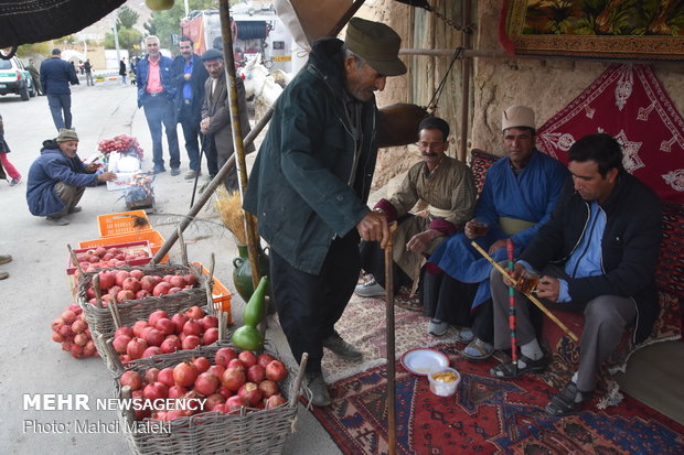 Harvesting pomegranate on farms in Shahreza sub-prov. 