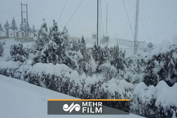 فیلمی از برف و کولاک شدید در دماوند