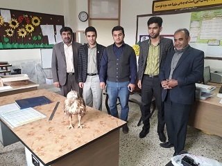 نجات یک پرنده شکاری توسط یک معلم در لردگان نجات یک پرنده شکاری توسط یک معلم در لردگان