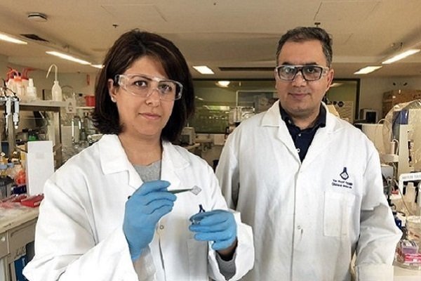 Iranian researchers unlock full potential of 'supermaterial' graphene