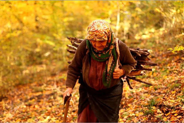 Cinéma Vérité unveils Iranian lineup for intl. competition