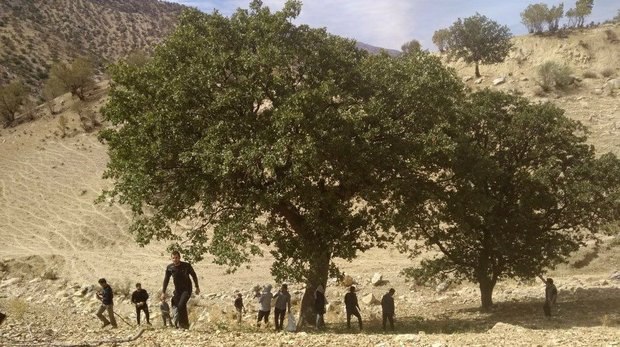 کاشت درخت، شناخت گیاهان و حمایت از محیط‌بانان برای حفظ محیط زیست
