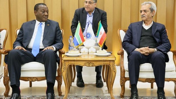 ‘Iran able to help S. Africa tackle energy challenges’