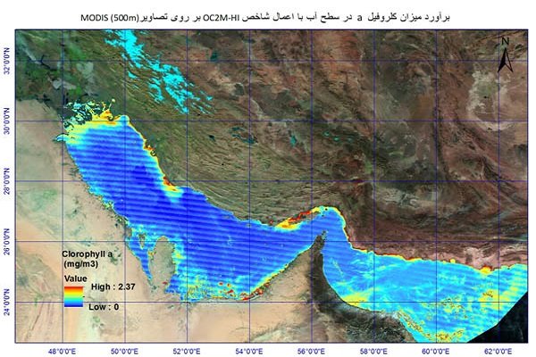 حرکت شکوفایی جلبکی «نوکتی لیکا» از دریای عمان به سمت خلیج‌فارس