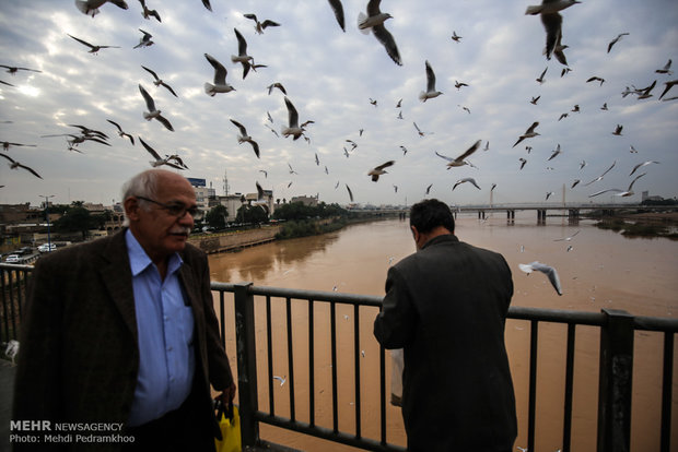 Karun River hosting migratory birds