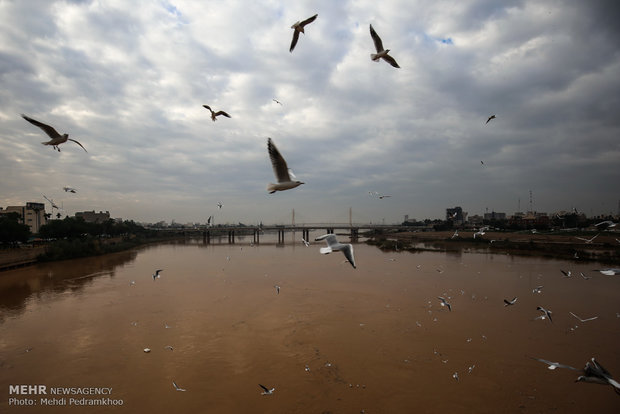 Karun River hosting migratory birds
