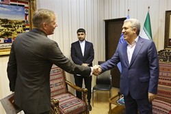 VP calls for better visa services for Iranian, British nationals