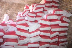 قاچاق سازمان یافته شیرخشک صنعتی/ ارز دولتی انگیزه قاچاق را بالا برده است