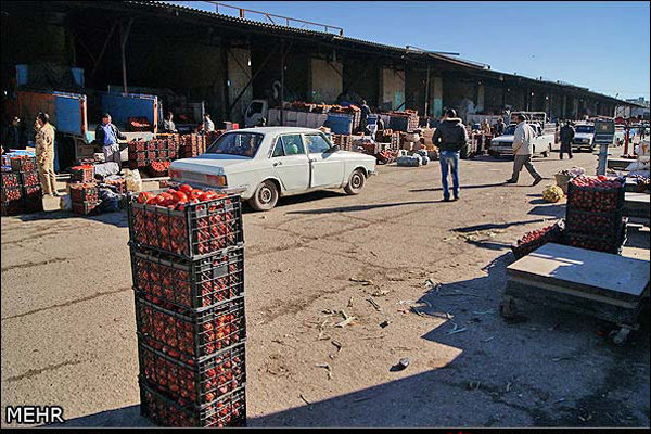 اقلام‌حمایتی تنظیم بازار استان در میدان میوه وتره یاسوج عرضه شود