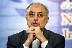 Iran insists ready to resume 20% uranium enrichment if JCPOA crashes