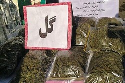 کشف ۳۰ کیلوگرم مواد روان‌گردان گل در عملیات مشترک پلیس تهران و لرستان