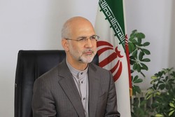 Ireland determined to boost coop. with Iran