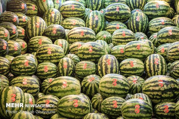 Iranians preparing for Yalda Night