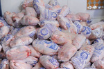 کشف و ضبط ۹۰۰ تُن مرغ منجمد احتکار شده در شیراز