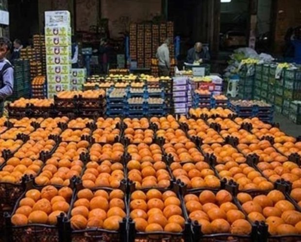 افزایش غرفه توزیع میوه شب عید در مناطق کم برخوردار قزوین