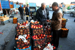 ثبات نسبی قیمت انواع میوه و صیفی در میدان مرکزی میوه و تره بار