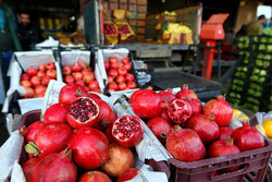 عرضه انواع میوه در سامانه بازرگام آذربایجان شرقی با قیمت مصوب
