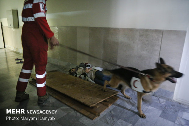 Earthquake drill in dormitories 