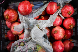 «ذخیره‌سازی» و «کوه‌چینی» محصولات یلدایی در میادین میوه و تره بار
