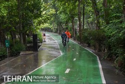 Bike ridership fivefold in Tehran, says environmentalist 