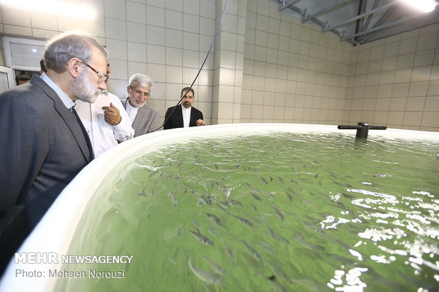 Parl. speaker visits open ocean fish fam in PG