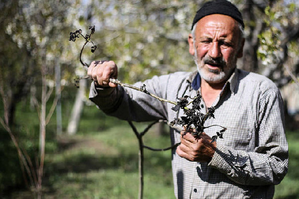  مجلس پیگیر اعطای کمک بلاعوض به کشاورزان و باغداران است