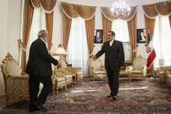 Shamkhani receives Palestinian delegation in Tehran