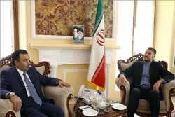 Amir Abdollahian meets Qatari ambassador