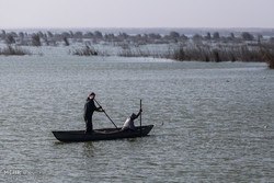 لزوم استمرار ورود آب به تالاب هورالعظیم